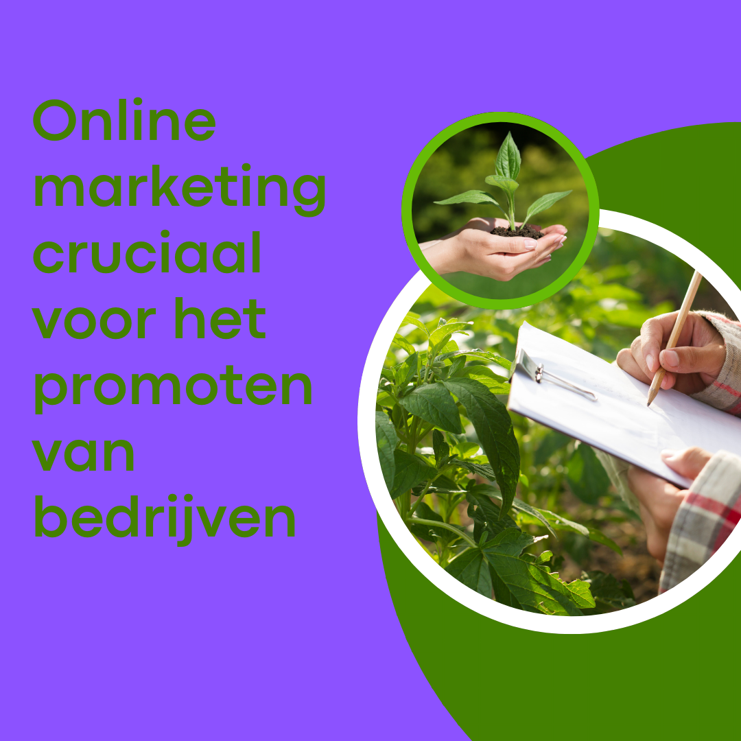 Online marketing cruciaal voor het promoten van bedrijven
